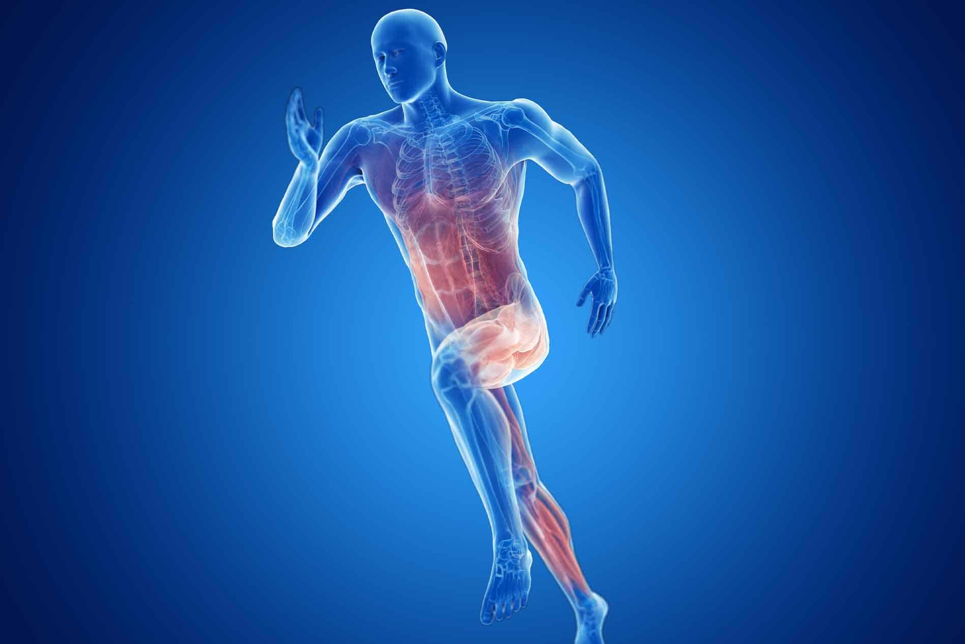 Muscle-Strain2