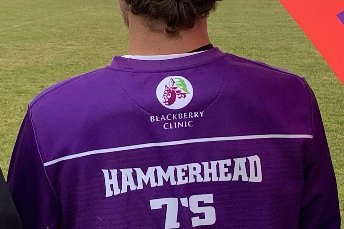 Hammerheads 2