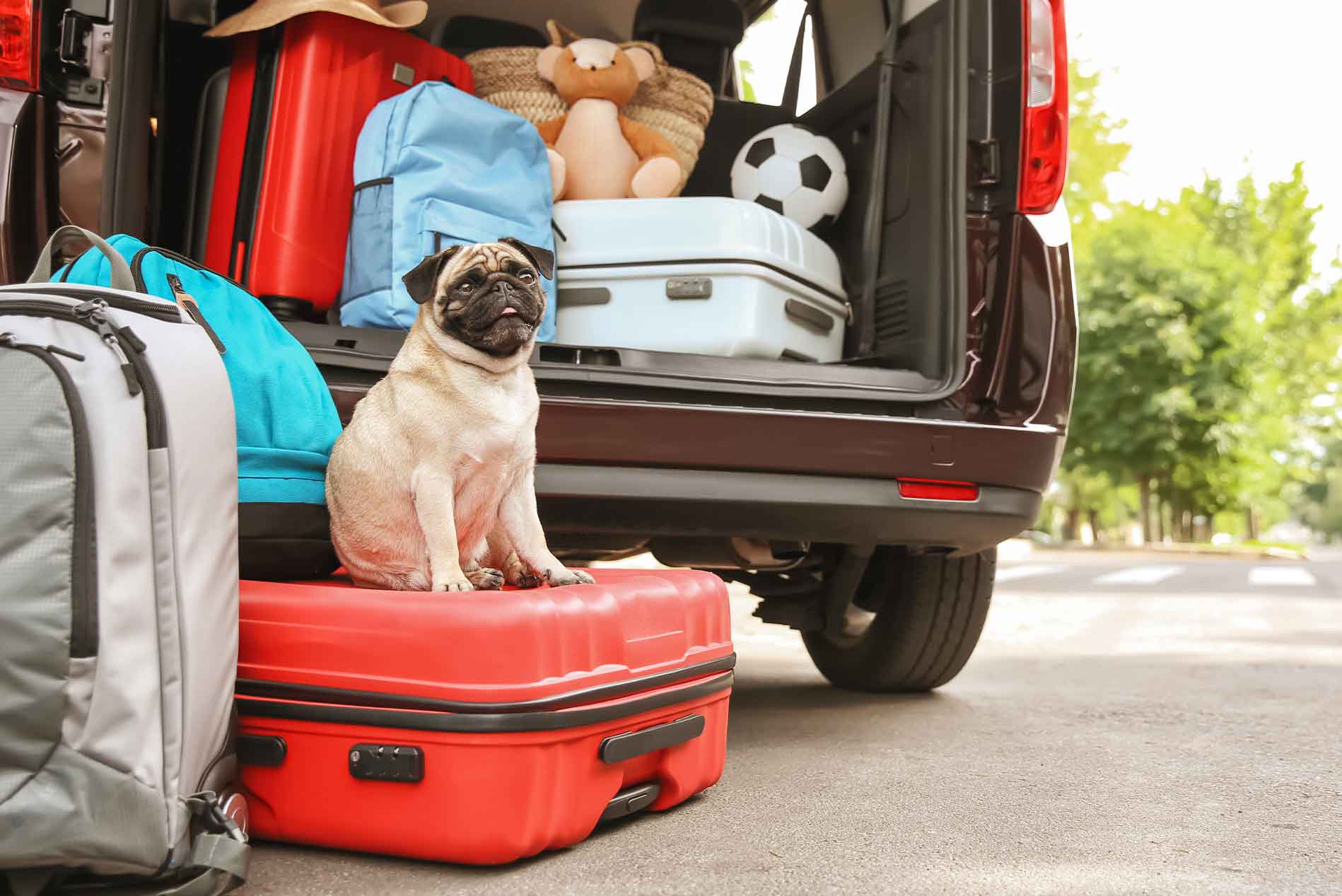 shelleys-uk-holidaying-back-care-tips